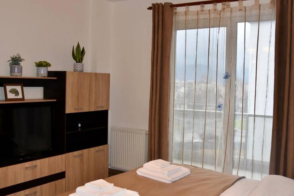 Pricop Residence Μπάια Μάρε Εξωτερικό φωτογραφία