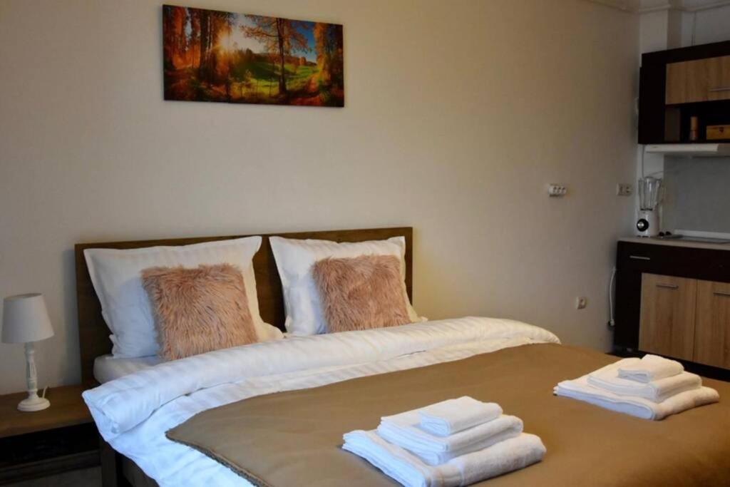 Pricop Residence Μπάια Μάρε Εξωτερικό φωτογραφία