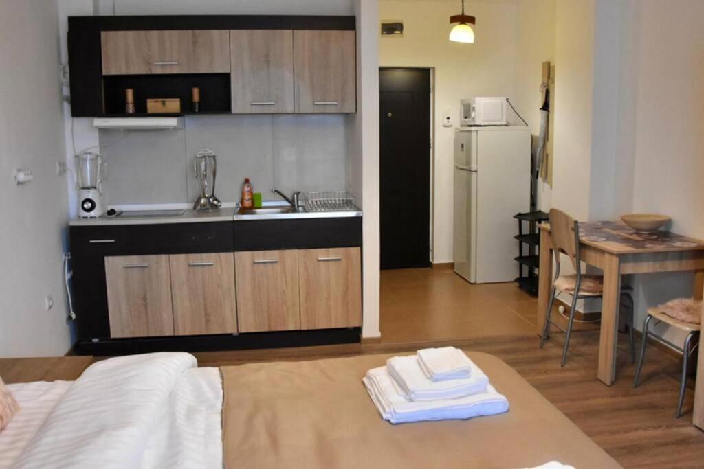 Pricop Residence Μπάια Μάρε Εξωτερικό φωτογραφία